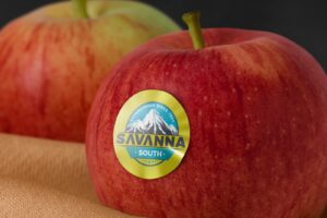 Parite Etiket metalize etiket boyut ve şekil alternatifleri. Standart boyutlar ve özel kesim seçenekleri. Oval, yuvarlak, logo şeklinde metalize etiket üretimi.