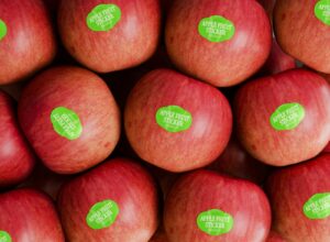 Metalize etiket kalite kontrol, parlaklık ölçümü, dayanıklılık testi, UV direnç kontrolü