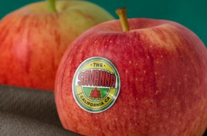 Metalize etiket gerçek ürün uygulamaları - Başarılı projeler